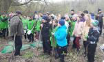 Шкільне лісництво
